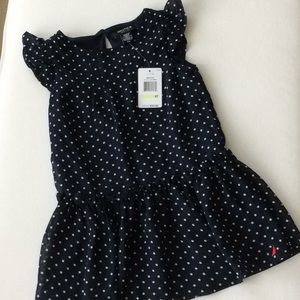 Nautica Navy and white polka dot dress